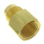 1/2" Flare x 1/2" FIP Brass Coupling Adapter