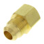 1/2" Flare x 1/2" FIP Brass Coupling Adapter