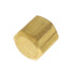 1/4" Brass Flare Cap