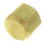 3/8" Brass Flare Cap