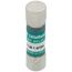 1.4 Amp Slo-Blo Time-Delay, Midget Class Fuse (250V)