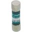 1.6 Amp Slo-Blo Time-Delay, Midget Class Fuse (250V)