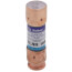 10 Amp Dual Element Time-Delay, Class RK5 Fuse (250V)