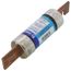 125 Amp Dual Element Time-Delay, Class RK5 Fuse (250V)