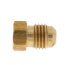 1/4" Brass Flare Plug