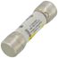 10 Amp Slo-Blo Time-Delay, Midget Class Fuse (500V)