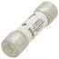 25 Amp Slo-Blo Time-Delay, Midget Class Fuse (500V)
