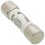 25 Amp Slo-Blo Time-Delay, Midget Class Fuse (500V)