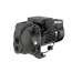 FP4222 Convertible Jet Pump, Cast Iron (115V/230V, 3/4 HP)