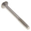 Strainer Screw, G0091280