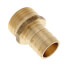 3/4" Hose Barb x 3/4" Male Hose Brass Garden Hose Adapter (Lead Free)