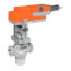 2" FNPT 2-Way Globe Valve (H), ANSI Class 250 (40 Cv)