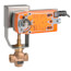 2" FNPT 2-Way Bronze Globe Valve w/ Spring Return Actuator, 24VAC/DC (40 Cv)