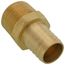 1" Hose Barb x 1" NPT Male Brass Pipe Adapter, G25169