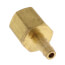 1/8" Hose Barb x 1/8" NPT Female Brass Pipe Adapter