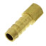 3/8" Hose Barb x 1/8" NPT Female Brass Pipe Adapter