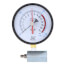 15 lb. Gas Test Gauge Assembly