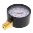 2" Dual Scale Economy Pressure Gauge, Bottom Mount (0-100 PSI)
