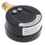 2" Dual Scale Economy Pressure Gauge, Bottom Mount (0-160 PSI)