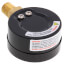 2" Dual Scale Economy Pressure Gauge, Bottom Mount (0-60 PSI)