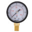2" Dual Scale Economy Pressure Gauge, Bottom Mount (0-60 PSI)