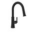 Northerly Single Handle Pull-Down Kitchen Faucet (Satin Black), D454079BS