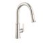 Northerly Single Handle Pull-Down Kitchen Faucet (Stainless Steel), D454079SS