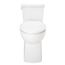 Burr Ridge 1.28gpf ADA Elongated Toilet Bowl (White), G0021187