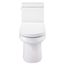 Wicker Park 1.28 gpf 12" Rough-In One-Piece Elongated ErgoHeight Toilet (White), G0021221