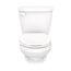 Maxwell 1.28gpf Wall Hung Back Outlet Elongated Toilet Bowl, Bowl Only (White), G0021970