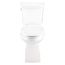 Burr Ridge 1.28gpf Toilet Tank 12" Rough-in, Tank Only (White), G0028187