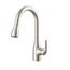 Viper Single Handle Pull-Down Kitchen Faucet (Stainless Steel), G0040164SS