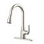 Viper Single Handle Pull-Down Kitchen Faucet (Stainless Steel), G0040164SS