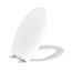 Elongated Undermount Soft-Close Toilet Seat (White/Biscuit/Bone), G0099213