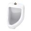 Lafayette 0.125/0.5/1.0gpf Urinal Washout Top Spud 13-3/8" Width (White), GHE27740