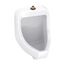 Lafayette 0.125/0.5/1.0gpf Urinal Washout Top Spud 13-3/8" Width (White), GHE27740