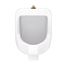 Lafayette 0.125/0.5/1.0gpf Urinal Washout Top Spud 13-3/8" Width (White), GHE27740
