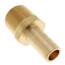 1/2" Hose Barb x 1/2" NPT Male Brass Pipe Adapter