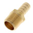 1/2" Hose Barb x 1/2" NPT Male Brass Pipe Adapter