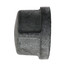 1" Galvanized Malleable Cap