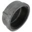 3" Galvanized Malleable Cap