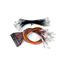 12 Pin Wiring Harness, 0259F00018