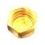3/4" Suction Brass Cap, 803131000