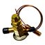 Expansion Valve, B1284655