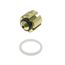 Flow Check Piston Kit, B1789883