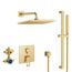 Eurocube 2-Handle Pressure Balance Rainshower Bundle, 1.75 Gpm (Brushed Cool Sunrise), 29432GN0