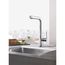 Essence Single-Handle Pull-Out Kitchen Faucet Dual Spray 1.75 Gpm (Chrome)