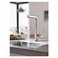 Essence Single-Handle Pull-Out Kitchen Faucet Dual Spray 1.75 Gpm (Chrome)