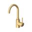 Concetto Single Hole Single-Handle L-Size Bathroom Faucet, 1.2 GPM (Brushed Cool Sunrise), 32138GN2