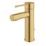 Essence New Single Hole Single-Handle S-Size Bathroom Faucet, 1.2 GPM (Brushed Cool Sunrise), 32216GNA